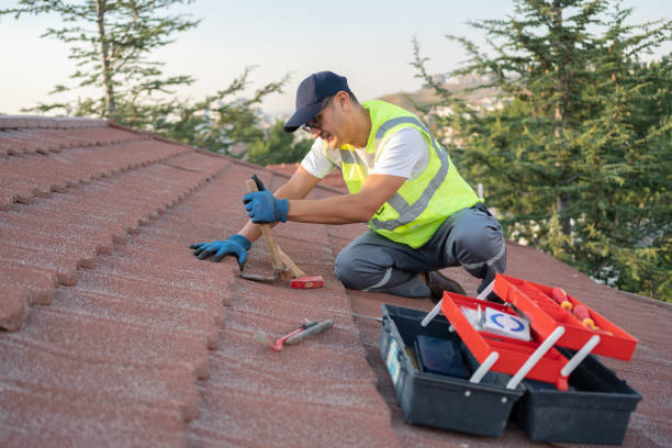 Roof Gutter Cleaning in Butler, WI